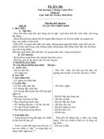 Tài liệu TUAN 20 LOP 3(CKTKN)