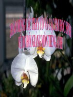 Tài liệu gi©on powerpoit