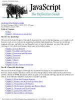 JavaScript The Definitive Guide