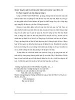 THỰC TRẠNG KẾ TOÁN DOANH THU BÁN HÀNG TẠI CÔNG TY