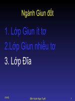 Giun đốt 3