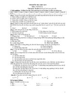 Gián án Kiểm tra 1tiết Vật lý 6