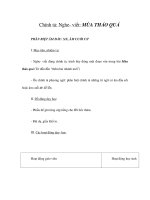 Chính tả - Nghe, viết - MÙA THẢO QUẢ - PHÂN BIỆT ÂM ĐẦU: S/X, ÂM CUỐI C/T