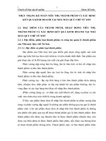 THỰC TRẠNG KẾ TOÁN TIÊU THỤ THÀNH PHẨM VÀ XÁC ĐỊNH KẾT QUẢ KINH DOANH TẠI NHÀ MÁY QUY CHẾ TỪ SƠN