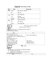 Gián án GA chiều lơp1 tuần 20