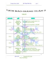GIÁO ÁN LỚP 3 TUẦN 28