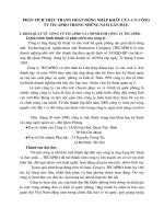 Phân tích thực trạng hoạt động nhập khẩu của CN công ty TECAPRO trong những năm gần đây.