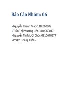 Báo cáo nghiên cứu mã nguồn mở
