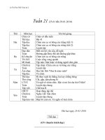Tài liệu giao an 2 tuan 21-CKTKN
