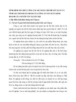 TÌNH HÌNH TỔ CHỨC CÔNG TÁC KẾ TOÁN CHI PHÍ SẢN XUẤT VÀ TÍNH GIÁ THÀNH SẢN PHẨM CỦA CÔNG TY SẢN XUẤT KINH DOANH CỦA NGƯỜI TÀN TẬT HÀ NỘI