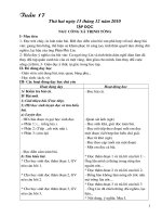 GA LỌP 5 TUAN 17 CKTKN