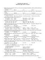 Bài giảng de_kiem_tra_hoc_ki_1_lop_11_rat_hay.doc