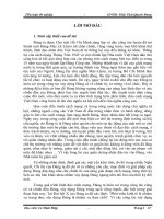 Bài giảng Đề tài tiểu luận tốt nghiệp