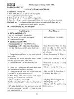 Bài giảng GIAÙO AÙN TUAÀN 22 LÔÙP 4 ( CKTKN)