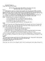 Gián án de thi hsg 11 htk NA