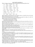 de cuong on tap 10 co ban