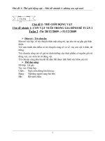 Bài soạn HĐC - TGĐV - T2