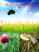 bài 11: sự hút nước và muối khoáng tt