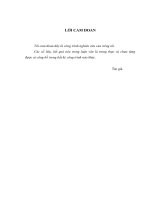 Nghiên cứu tác động của xuất xứ quốc gia đến ý định mua ô tô nhật bản