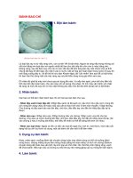 Làm bánh báo chỉ