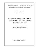 Nguồn vốn cho phát triển các doanh nghiệp nhỏ và vừa trên địa bàn thành phố cần thơ 