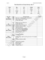 Giáo án tuần 17 l5 (KNS, TTHCM)