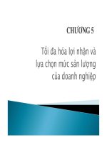 Tối đa hóa lợi nhận và ợ ậ lựa chọn mức sản lượng của doanh
