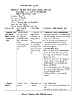 Bài soạn Giáo án hoạt động dạo chơi cấp huyện năm học 2010-2011