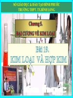 Kim loại và hợp kim  12TN  tiết 1 1 