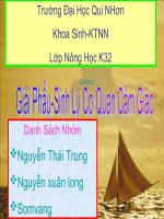 Tài liệu CƠ QUAN CAM GIÁC