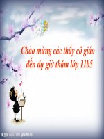 tiết 54- Chí Phèo