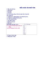 Gián án Mẫu giáo án Ngữ văn (2010-2011)