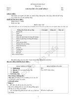 Bài soạn KHOA HOC 4-CA NAM- CKTKN