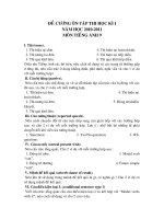 Đề cương môn TA lớp 9 HKI 2010-2011