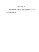 Giải pháp tạo động lực làm việc cho cán bộ viên chức tại ban quản lý các chợ quận liên chiểu 