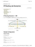 IP Routing Lab Scenarios