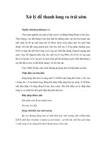 Xử lý để thanh long ra trái sớm