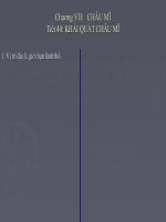 Tài liệu Tiết 40: Khái quát Châu Mĩ