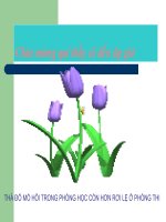 Phép chia số phức