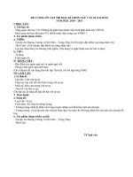 Đề cương ôn thi HKI NV 10