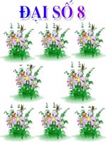 Tài liệu PHUONG TRINH DUA DUOC VE DANG ax  b  0.ppt