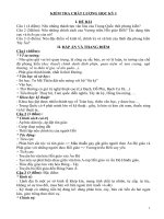 Gián án đề thi Lịch sử HKI 10