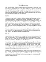 Bài soạn chan nuoi