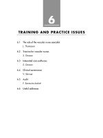 Training and practice issues