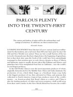 PARLOUS PLENTY INTO THE TWENTY-FIRST CENTURY