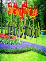 TNXH tuấn6: Làng quê và đô thị