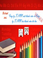 Công ty TNHH một thành viên và công ty TNHH hai thành viên trở lên 