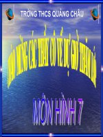 Trường hợp bằng nhau thứ 3(g.c.g)