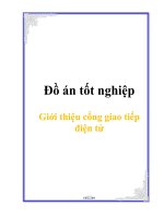 Giới thiệu cổng giao tiếp điện tử