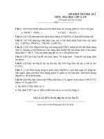 Đề mẫu thi HKI Hóa 11 số 2